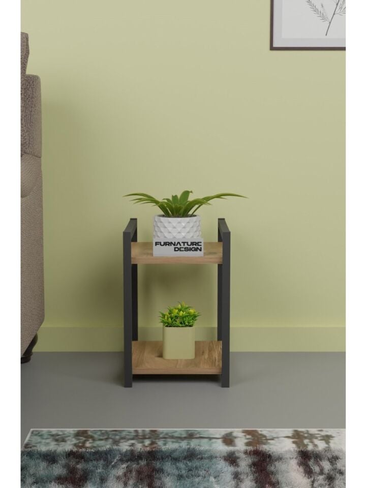 RAF ÇOK AMAÇLI 2 KATLI ÇAM 33x28x40CM