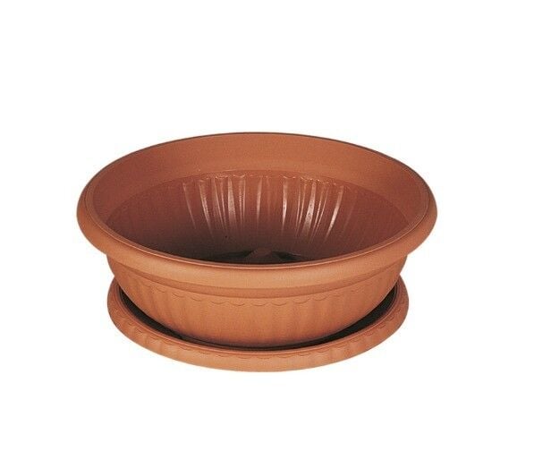 SAKSI ARANJMAN BÜYÜK 23*50