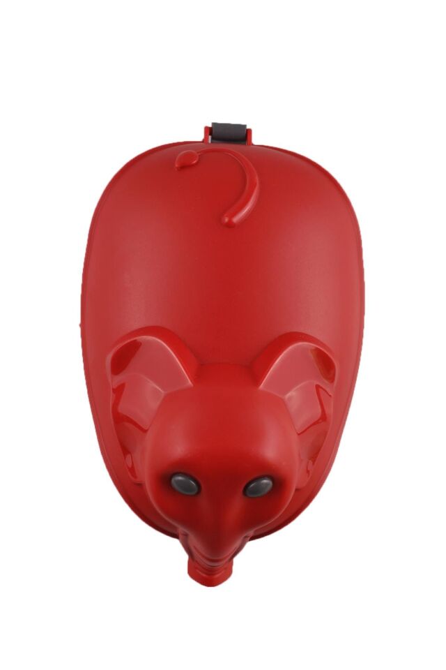 GIRGIR FİL DESEN ZOİ