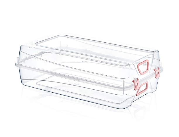 AYAKKABI KUTUSU KADIN