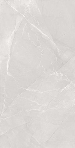 60X120N NEO PULPIS GREY POLISHED REC.