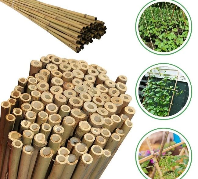 BİTKİ DESTEK ÇUBUĞU BAMBU 6-8MM-60CM TP