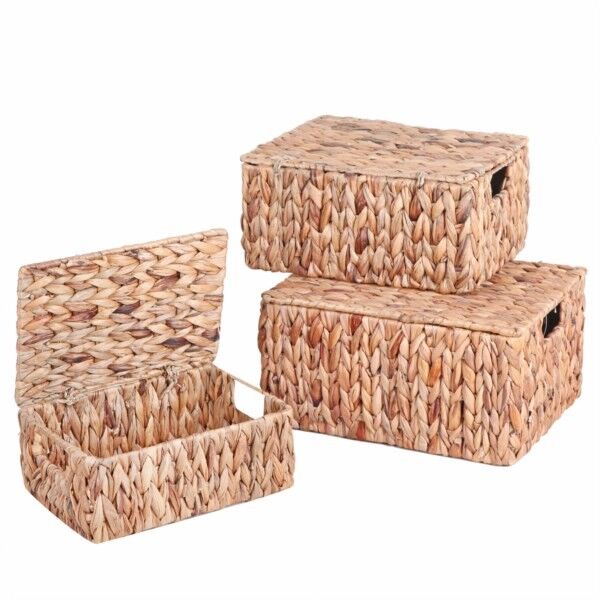 KUTU KAPAKLI DİKTÖRGEN S2