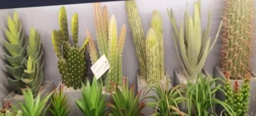 YAPAY KAKTÜS ÇÖL SAKSI