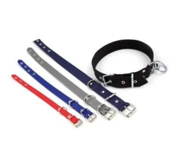 KÖPEK TASMASI BASİT 2 CM