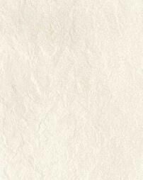 60X120 RIVERSTONE  RELIEF WHITE MAT R10