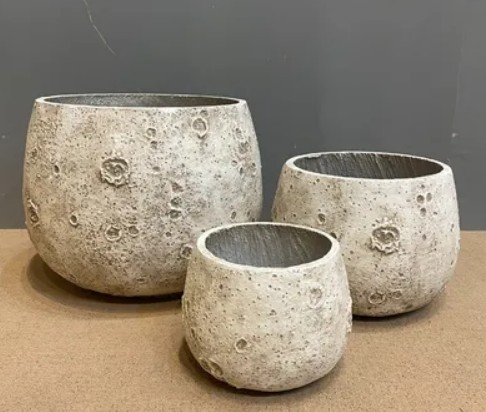 SAKSI AY DESENLİ BEJ NO3